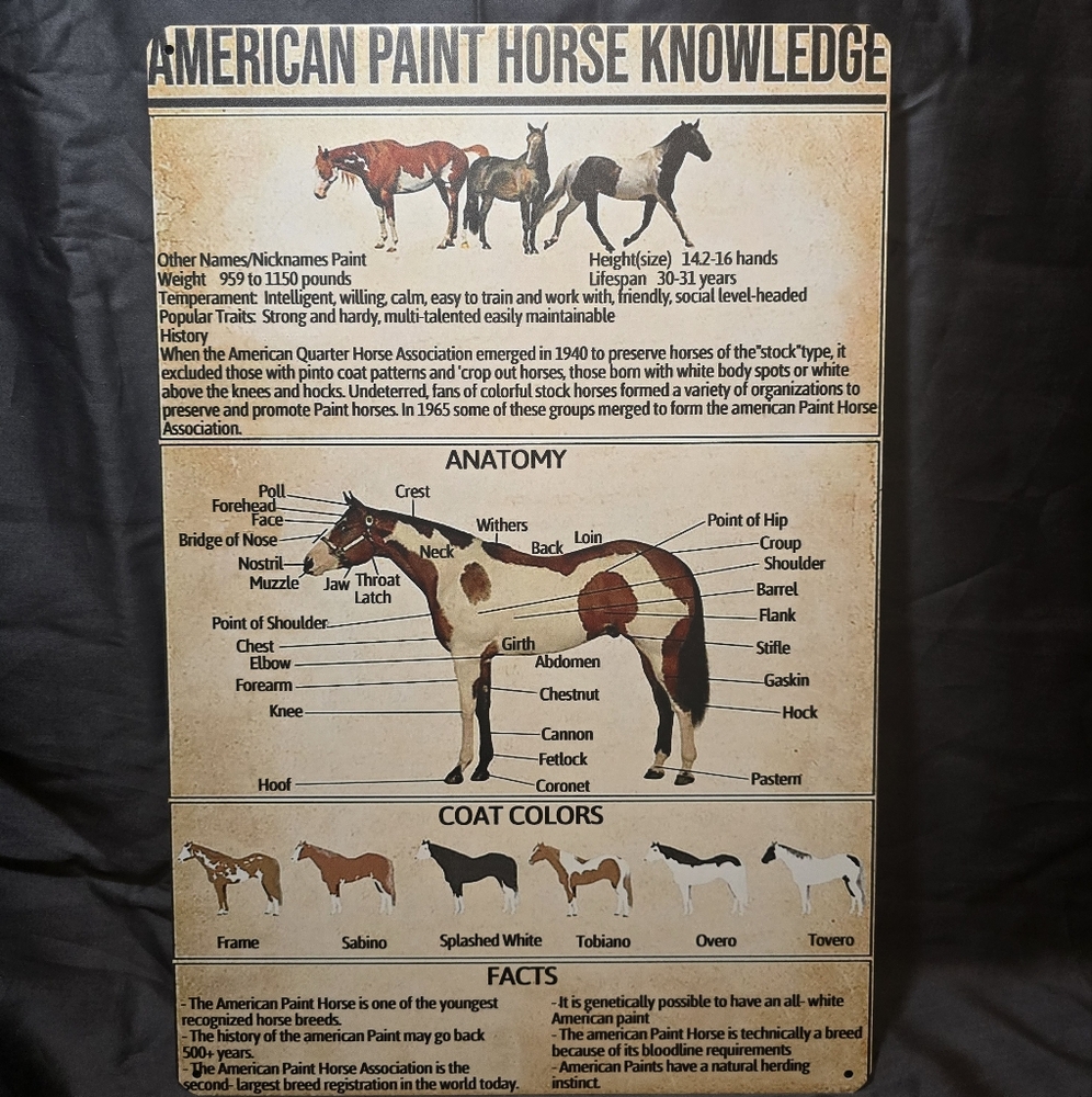 Vintage horse metal wall sign